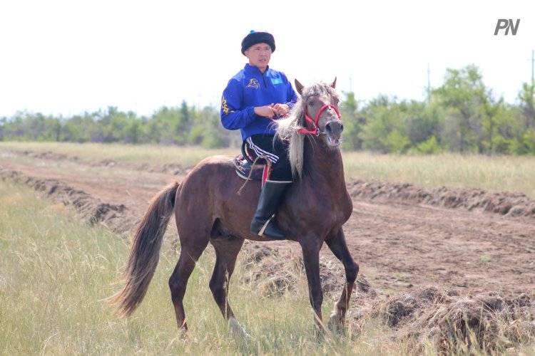 Жители родного Кенжеколя поздравили себя с победой в кулинарных парах